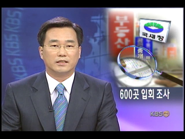 중개업소 600곳 첫 입회 조사 