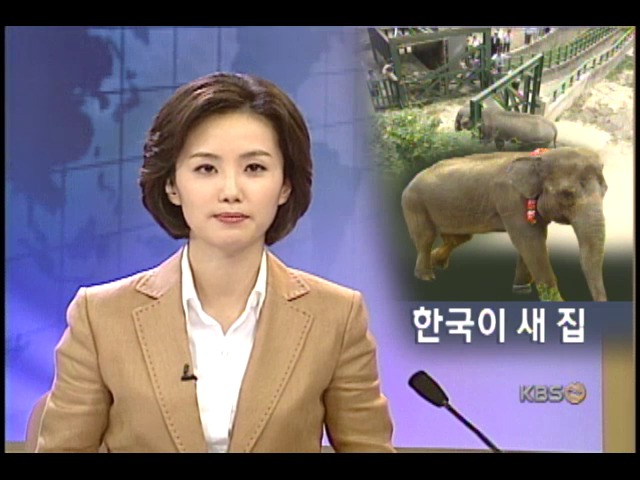새집 찾은 동물가족 이사 대작전 