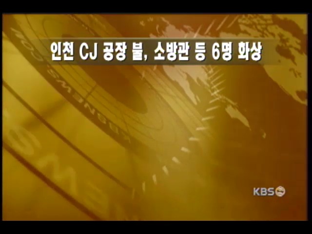 인천 CJ 2공장 화재, 6명 부상 