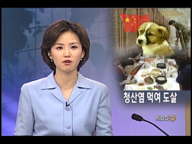 중국 개고기서 청산염 검출 