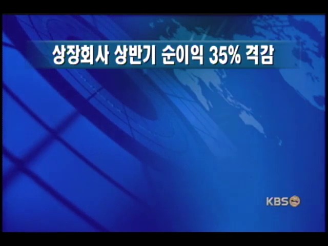 상장사 상반기 실적 크게 악화 