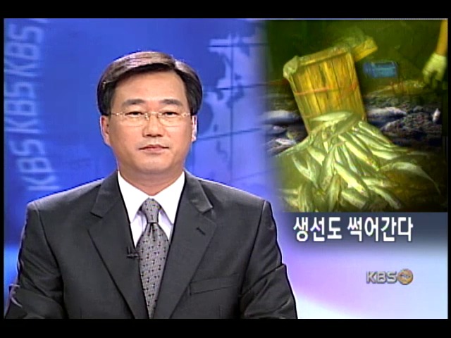 수산시장 폐허, 생선값 폭등 우려 
