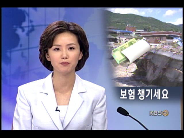 수해피해, 보험 가입 여부 확인 