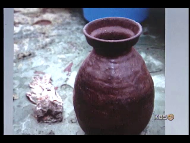 군산 앞바다서 고려 청자 무더기 인양 