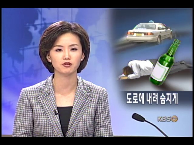 만취 택시 승객 자유로에 유기 사망 