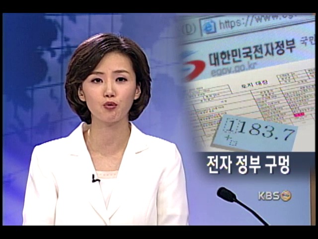 전자 정부 `인터넷 문서` 위조 비상 