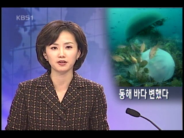 동해 생태계 바뀌었다 