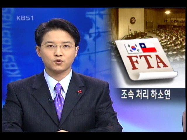 한-칠레 FTA비준 늦으면 외교적 물의 