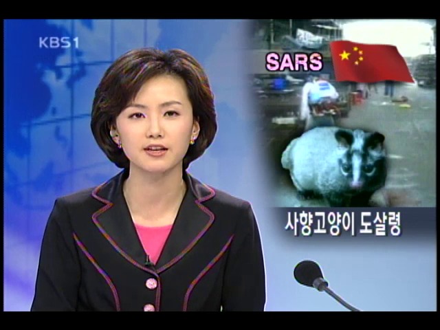 동남아 사스 비상, 중국 사향고양이 도살령 