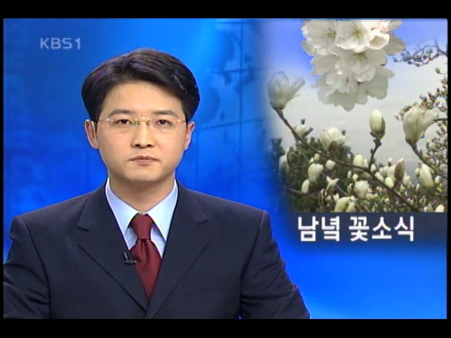 남녘 춘분 맞이 인파 