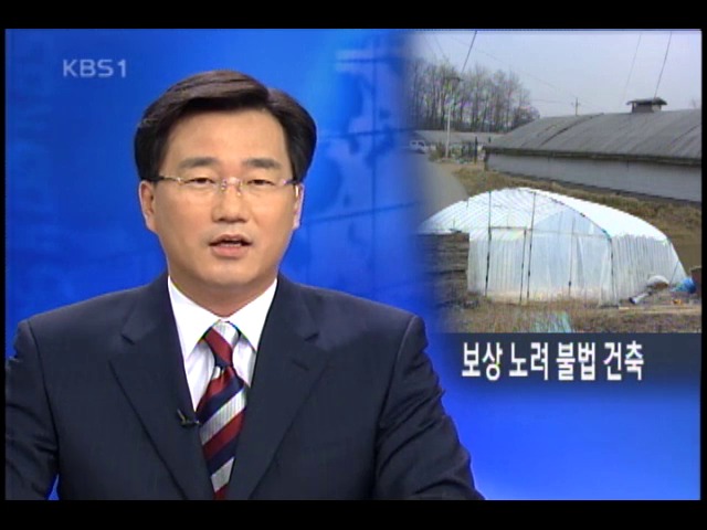 항공 감시 피하려 비닐하우스 안 불법 건물 