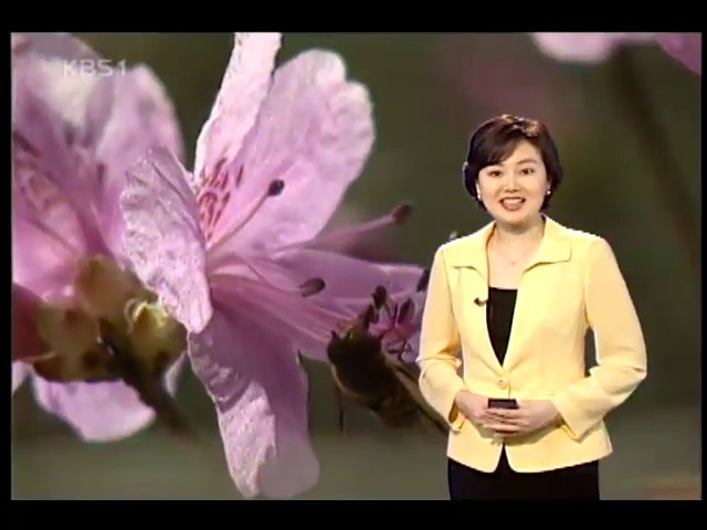 주말 맑고 포근한 날씨 