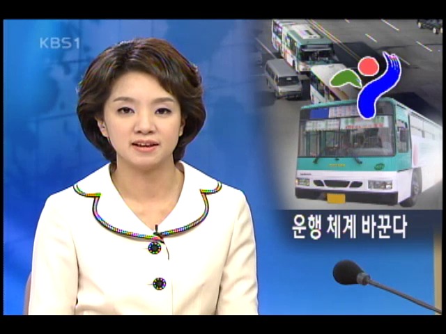 서울 버스 체계 간선, 지선 이원화 
