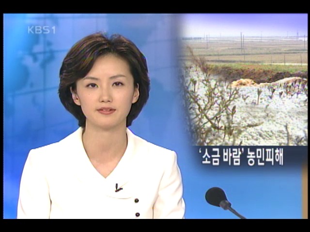 화옹호 간석지 주변 염분 피해 심각 