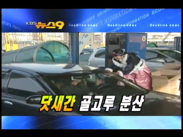 헤드라인 