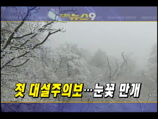 헤드라인 