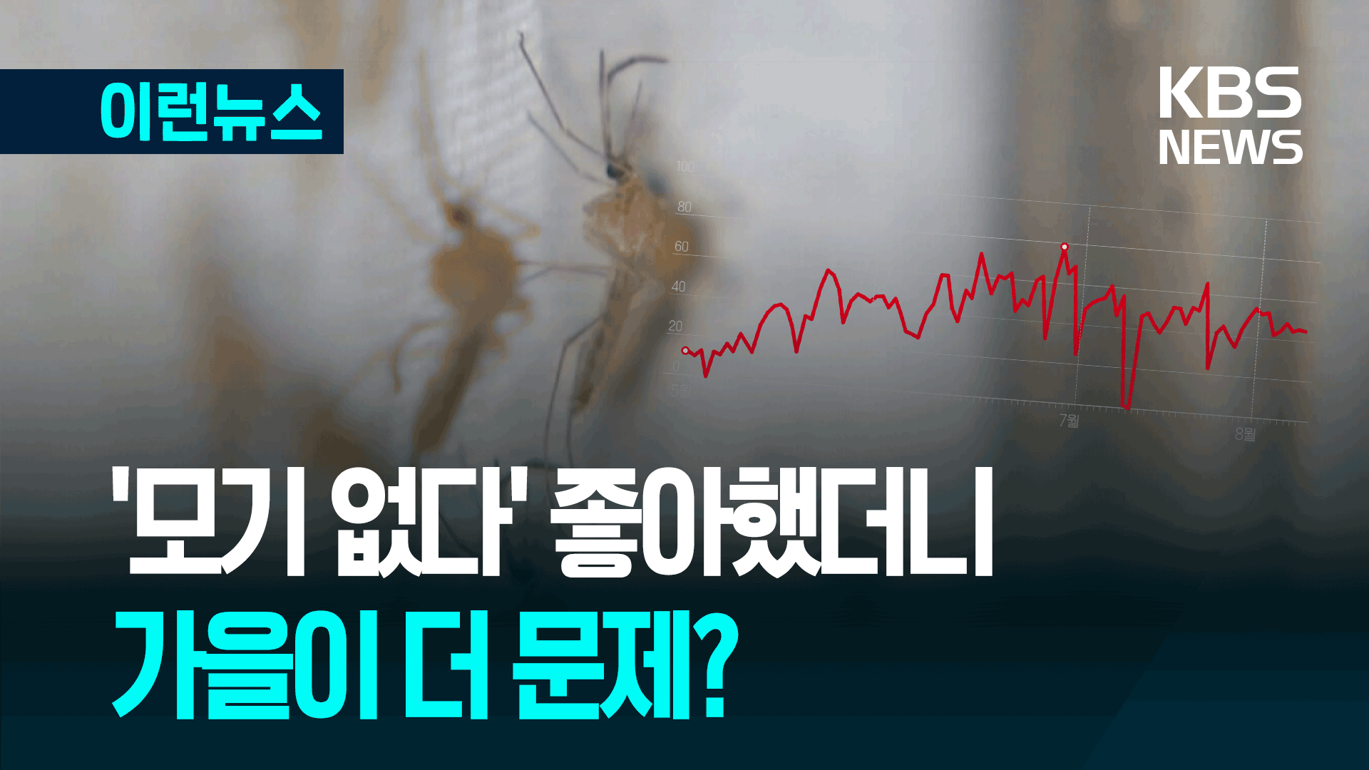 올해, 확실히 줄었다? ‘모기 데이터’ 살펴봤더니