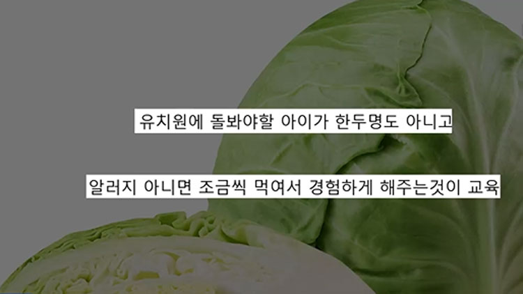 “배추 주지 말랬는데 양배추 먹였더라”…학부모 글 논란 