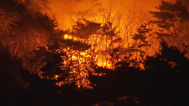 인천 강화도 마니산서 산불…산림청 산불 1단계