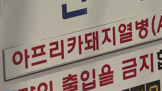 경북 영천서 아프리카돼지열병 발병…차단 방역 ‘안간힘’