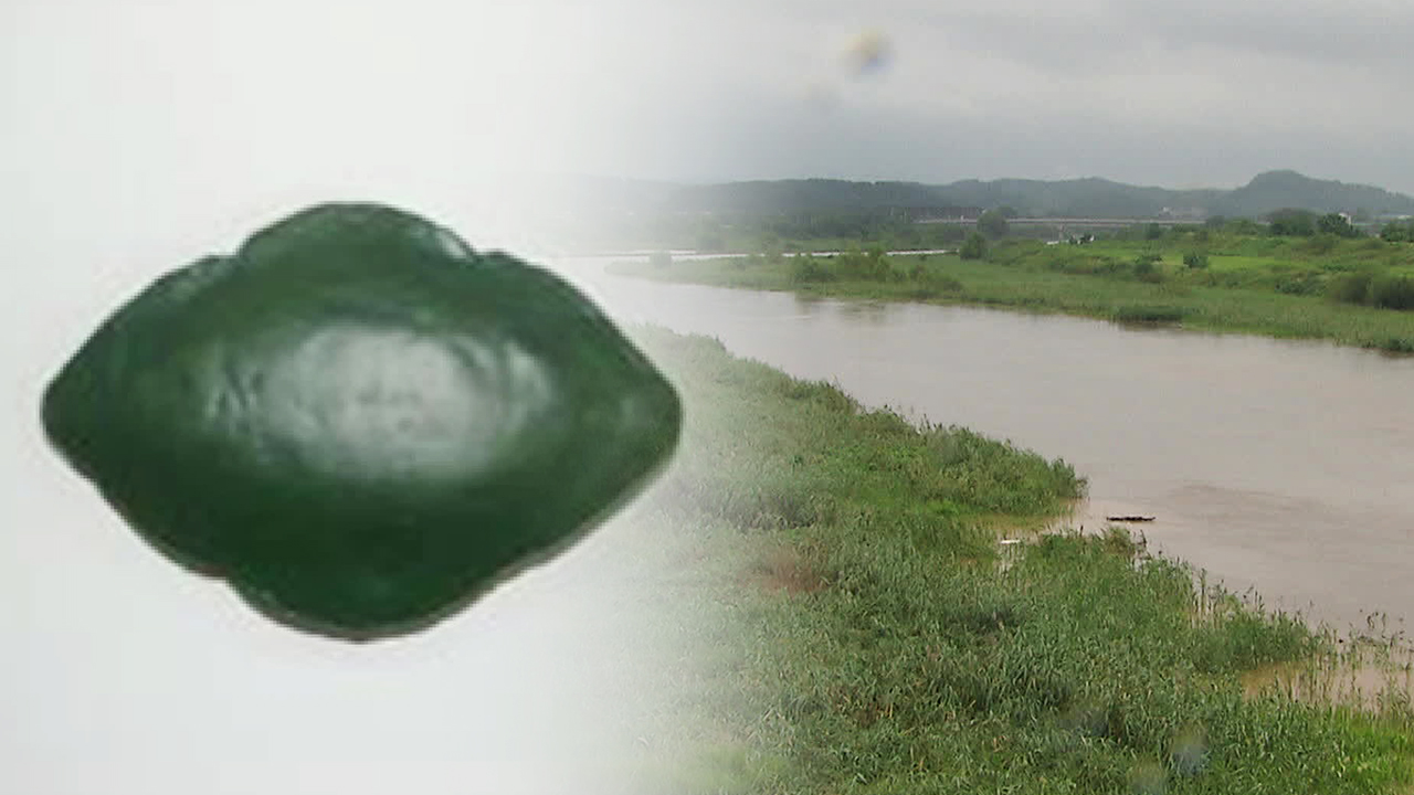 군 “호우로 북한 ‘나뭇잎 지뢰’ 유실 우려”…북 황강댐 방류 아직 안해