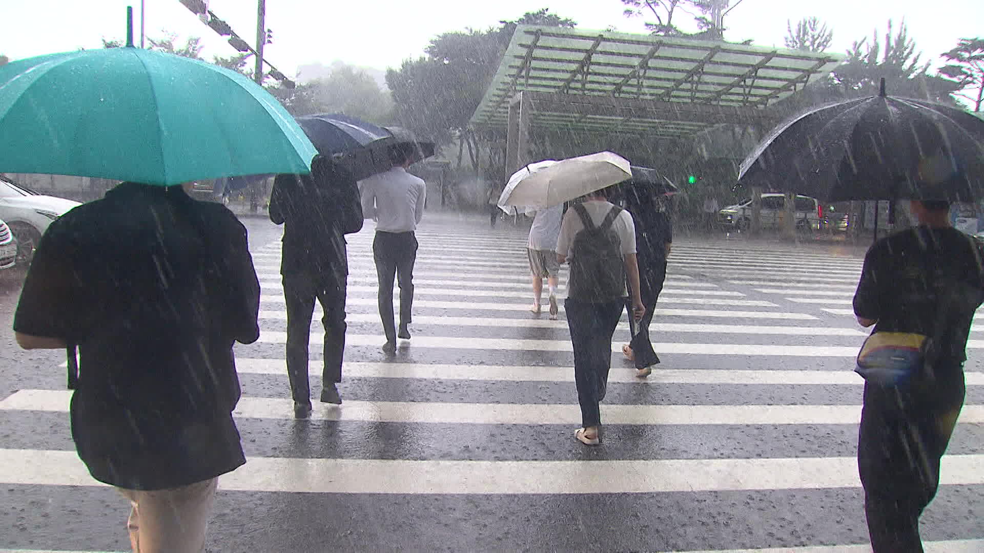 정체전선 남북 진동…주말에 다시 중부 많은 비