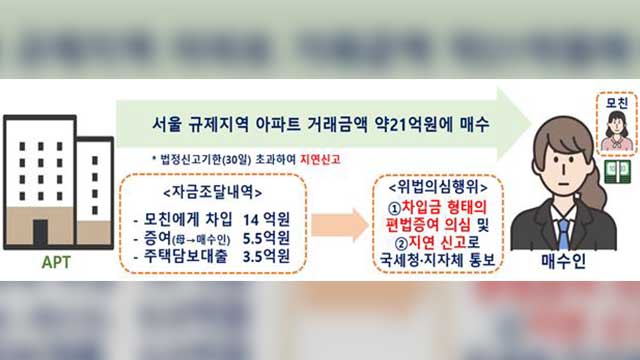 국토부, 수도권 주택 위법의심 거래 397건 적발…“부모에게 14억 빌려 아파트 매수”