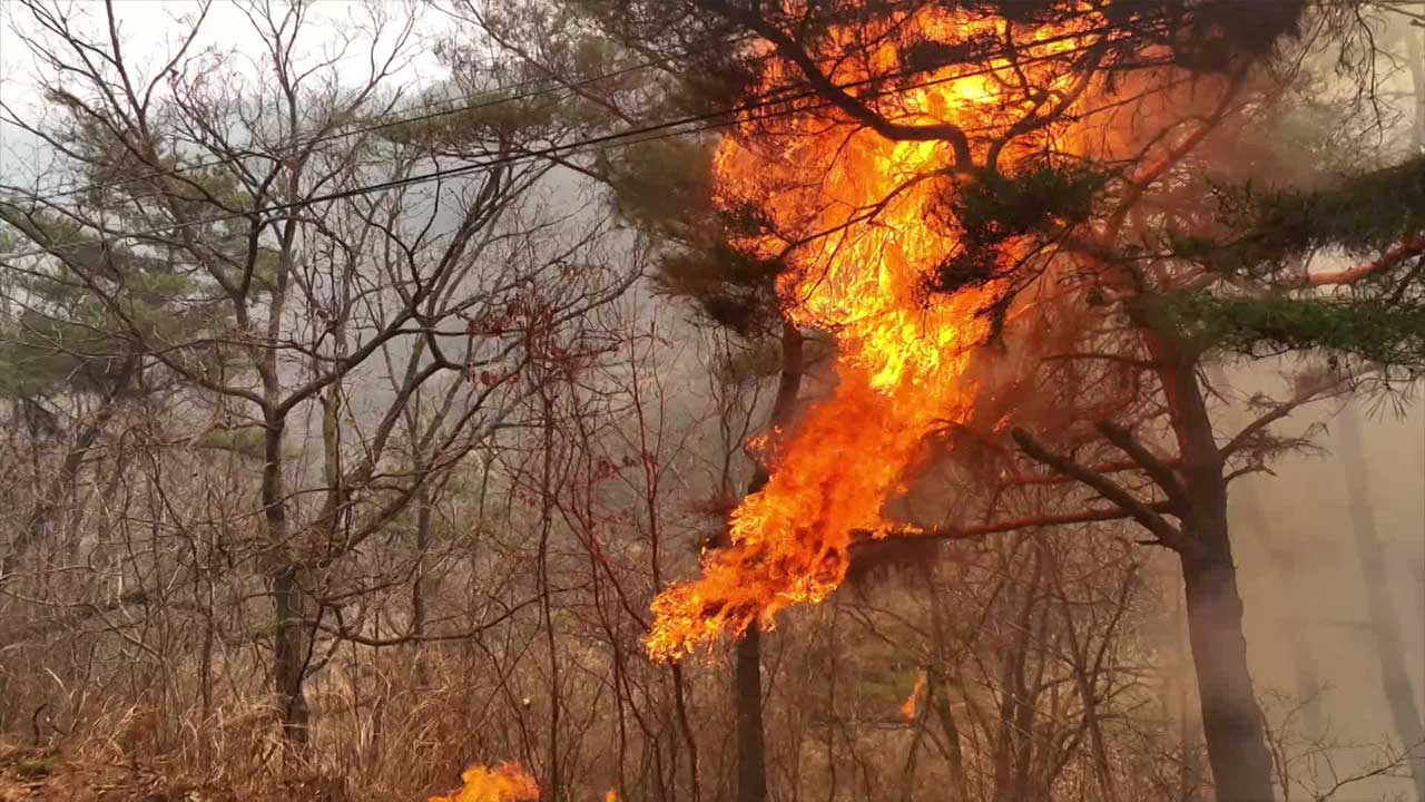 의성 산불 진화율 60%…피해 면적 확대