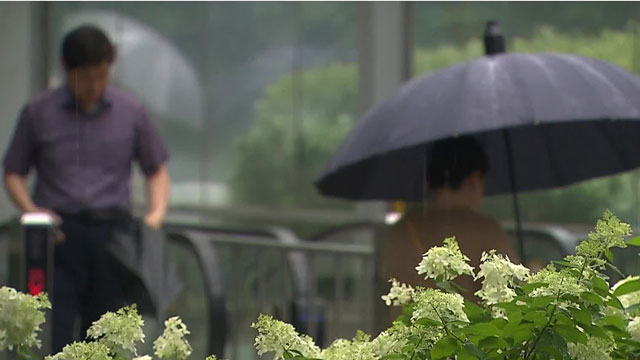 중부 장마 시작…내일, 시간당 <br>30~50mm 폭우