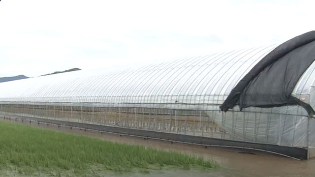 광주·전남 오늘까지 최고 200mm…이 시각 광주