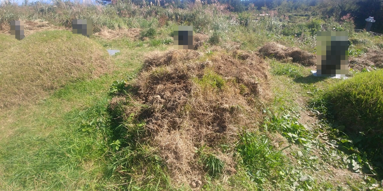 서귀포시 상효동 공설공원묘지에서 훼손된 봉분(사진=서귀포시 제공)