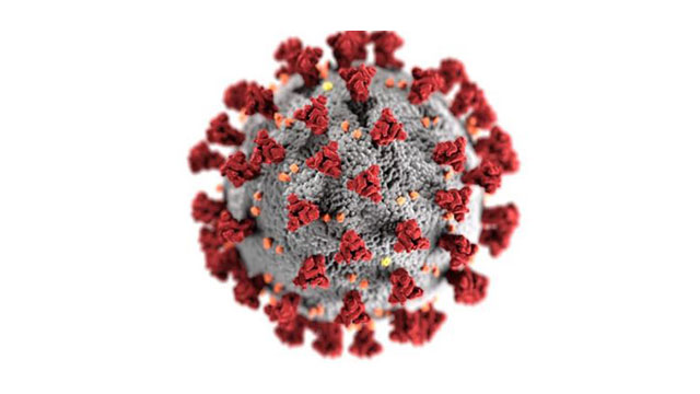 코로나19 바이러스 모형도. 사진의 붉은 돌기가 ‘스파이크 단백질’이다.