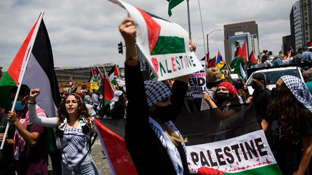 팔레스타인 지지 시위