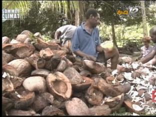 코코넛 오일로 전력 생산