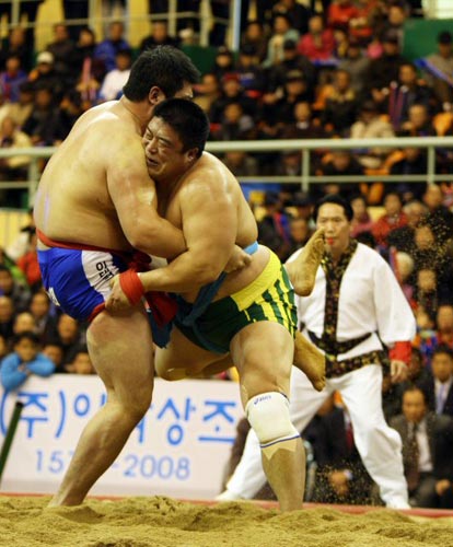 13일 경북 경주실내체육관에서 열린 2009 천하장사 씨름 대축제 마지막날 천하장사 결정전, 황규연(오른쪽)이 이태현을 상대로 기술을 걸고 있다.