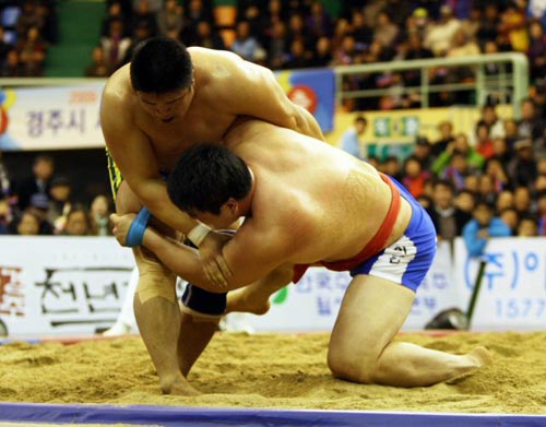 13일 경북 경주실내체육관에서 열린 2009 천하장사 씨름 대축제 마지막날 천하장사 결정전, 황규연(왼쪽)이 4번째 판에서 이태현을 꺾고 천하장사를 확정짓고 있다.