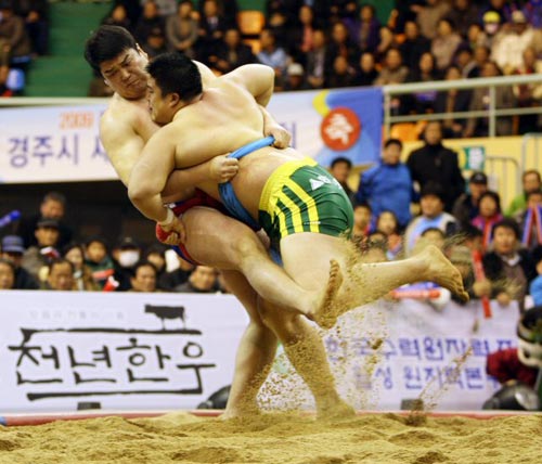 13일 경북 경주실내체육관에서 열린 2009 천하장사 씨름 대축제 마지막날 천하장사 결정전, 황규연(오른쪽)이 이태현을 상대로 공격을 하고 있다.