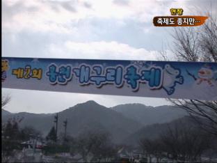 [현장] 축제 때문에 개구리 ‘날벼락’