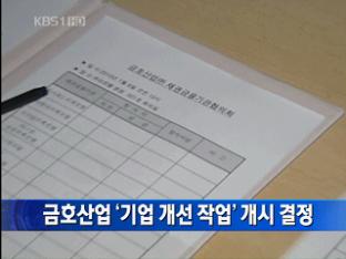 금호산업 ‘기업 개선 작업’ 개시 결정 外
