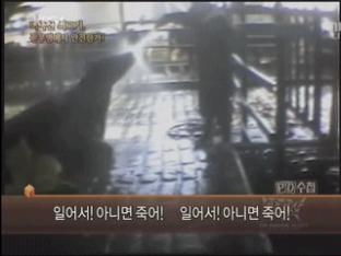‘광우병 보도’ PD수첩 제작진 1심 무죄