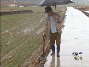 전국에 비, 오후에 점차 그쳐