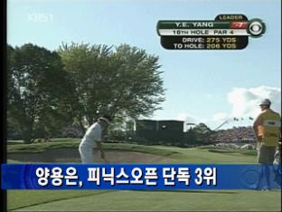 양용은, 피닉스오픈 단독 3위