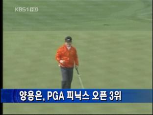 양용은, PGA 피닉스 오픈 3위