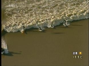 영국 글로우세스터, 강물 파도타기