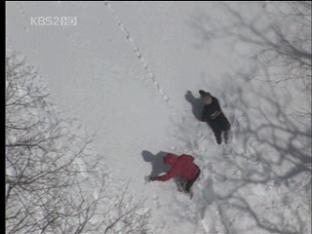 ‘등산객 매몰’ 규정 어긴 무리한 등반이 화근