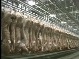 호주, 외국산 쇠고기 수입금지 2년 연장