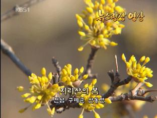 [뉴스광장 영상] 지리산의 봄
