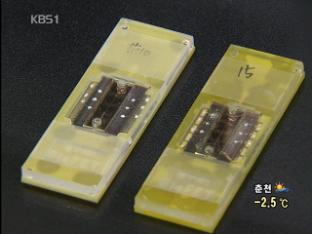 ‘30분 만에 암 진단’ 기술 국내 개발