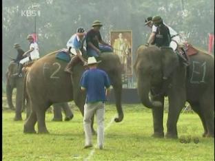 이색 코끼리 폴로 대회…15개국 출전 