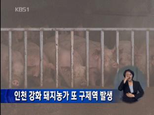 인천 강화 돼지농가 또 구제역 발생